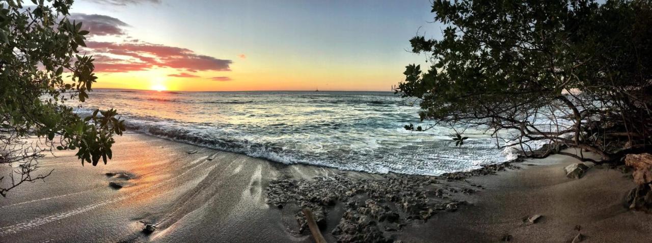 Villa Ethir Tamarindo Dış mekan fotoğraf