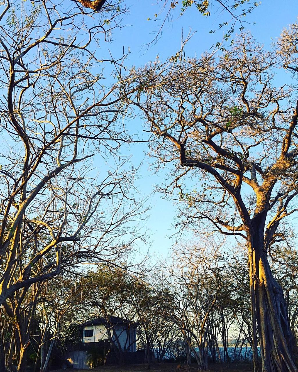 Villa Ethir Tamarindo Dış mekan fotoğraf